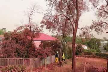 澳大利亞山火肆虐 阻燃劑讓悉尼街區(qū)“粉”飾一新